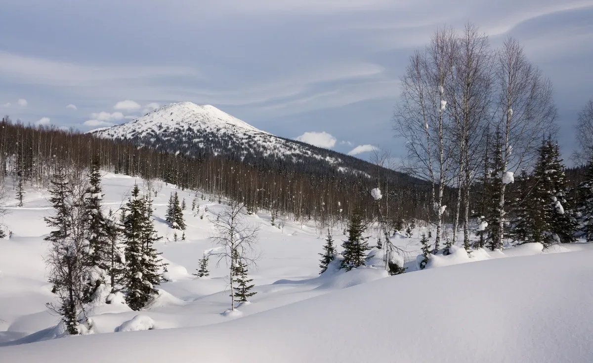 The Kuznetsk Alatau mountain range above the Kuznetsk Basin in the Kemerovo region of Siberia