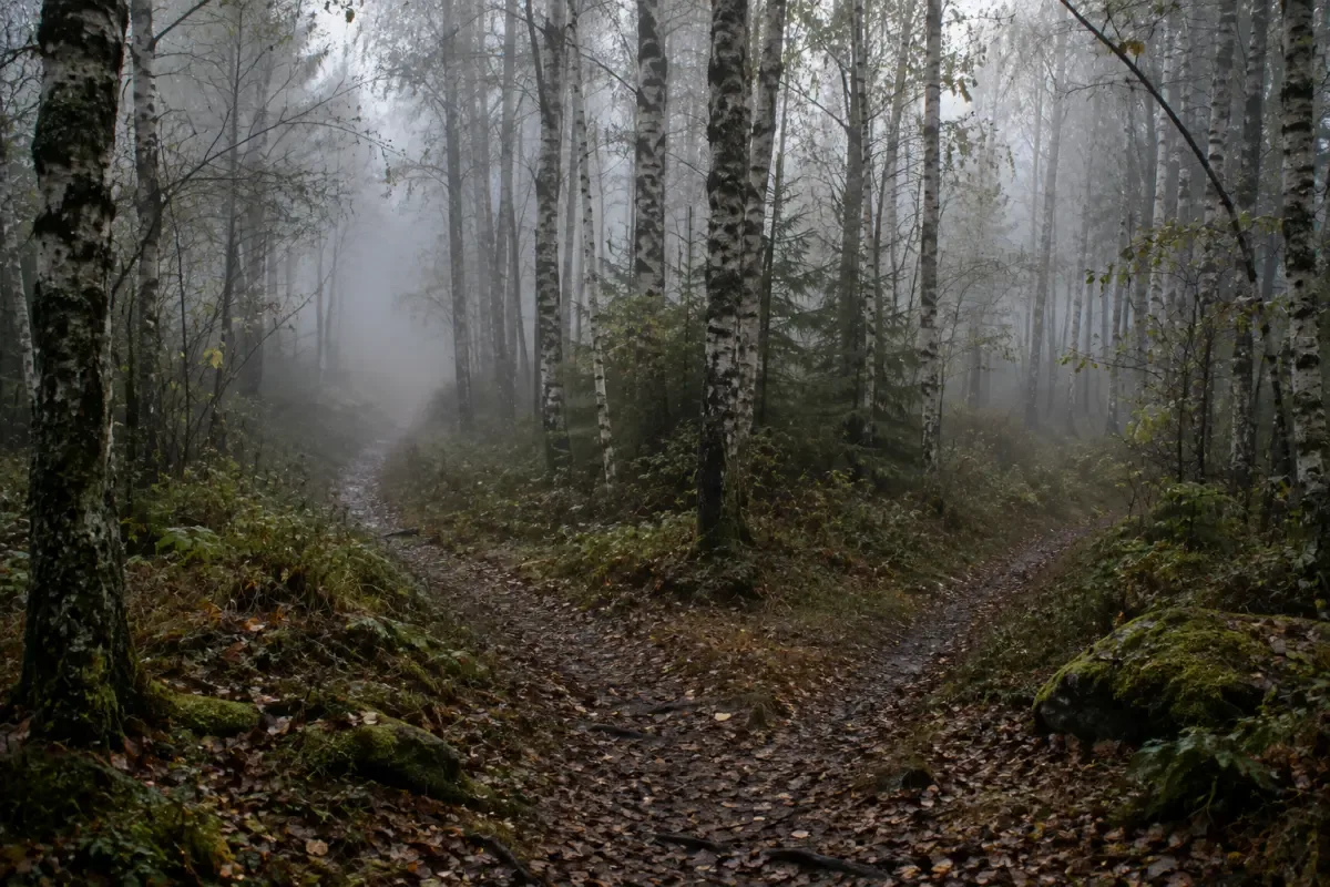 Is Your Déjà Vu a Signal From a Parallel You? Here's What Science Says